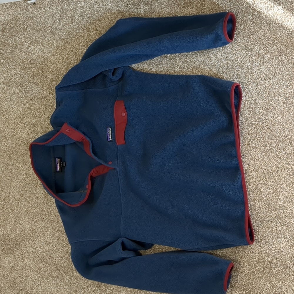 Patagonia snap t